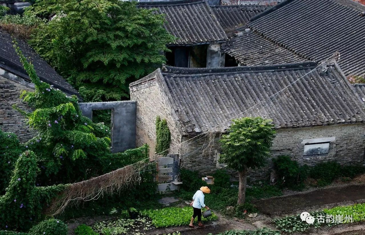 美丽乡村 | 我想带你回崖州农村,去看我儿时看过的别样风景!