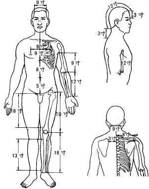 体表标志取穴法: 根据人体体表的各种骨性标志和肌性标志而取穴的