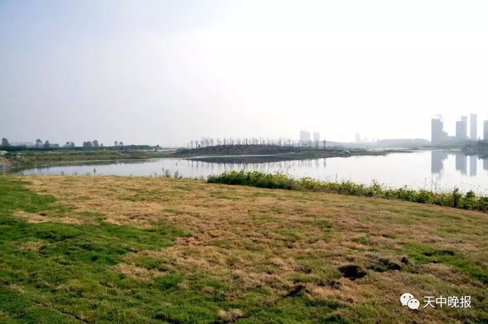 驻马店滨水廊道将现!还有清河湖植物园,极限公园,湿地公园