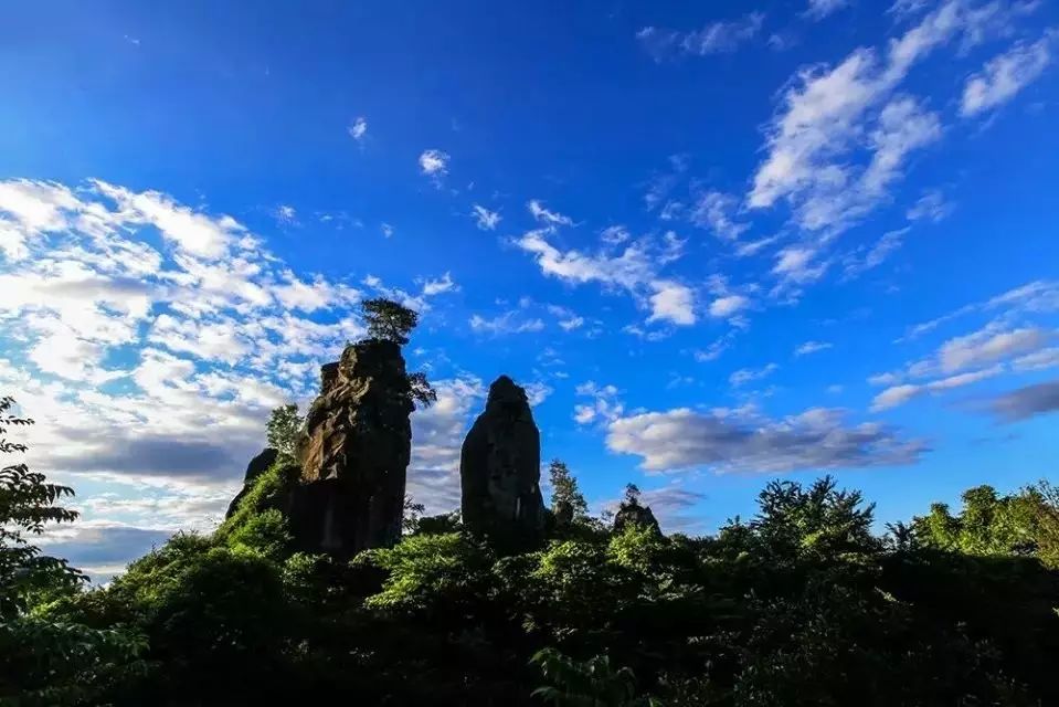 通江唱歌石林景区