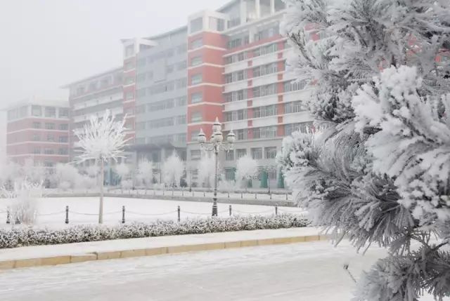 黑龙江职业学院