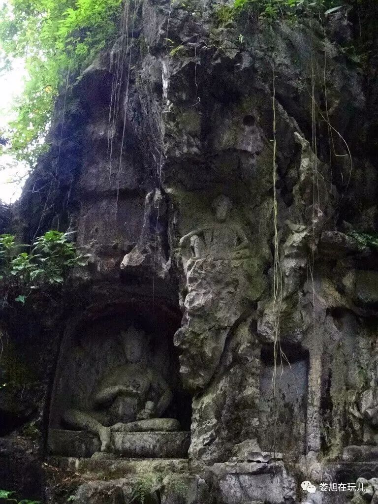 只剩下了那些佛像山洞怪石都隐没在浓绿之中可如今满山都是树木石洞多