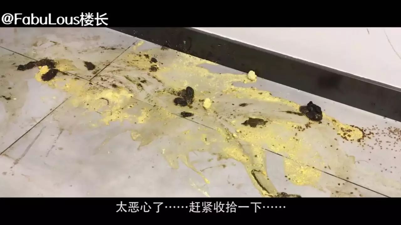 一个爬友的专业素养如何从铲屎想吐到铲出幸福露出一脸慈祥的微笑