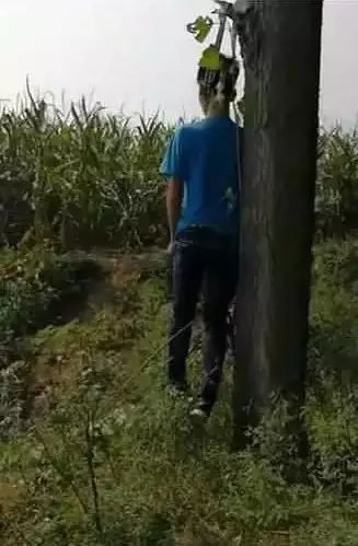 12岁小男孩, 在树林上吊自杀!原因竟是