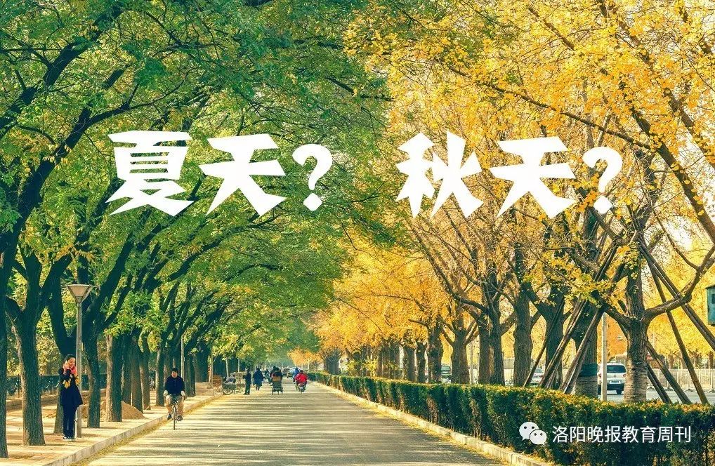 农历四季划分时间月份