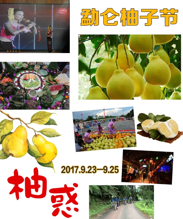 周末勐仑见|柚子节～走起来!香发公主撩起来