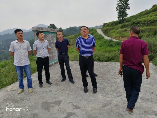 9月18日,县委副书记,县长何支刚在淇滩镇艾坝村指导脱贫攻坚秋季攻势