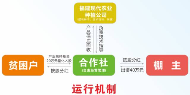 贫困人口纯收入9057元_贫困山区的孩子图片(3)