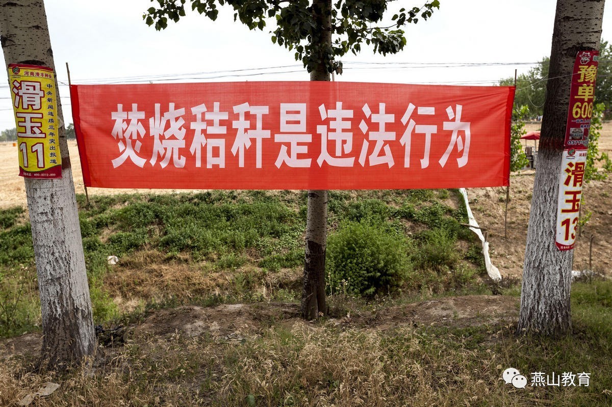 灵宝市人民政府关于严禁焚烧秸秆的通告