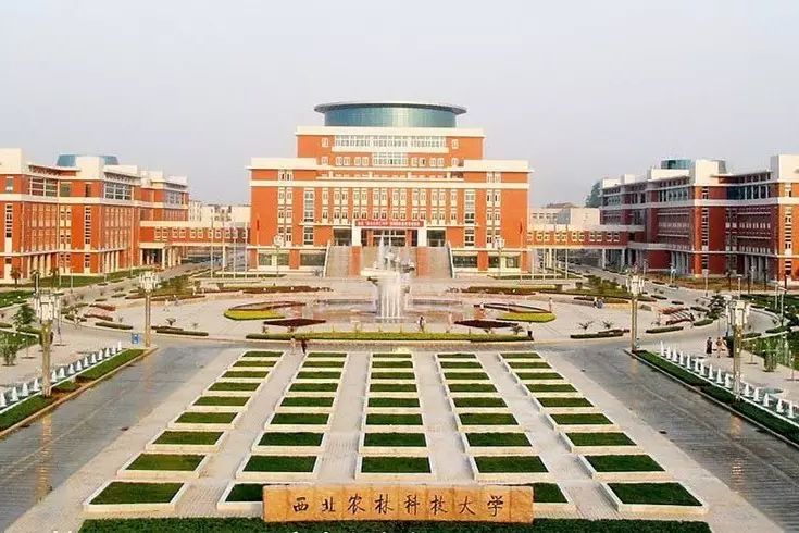 西北农林科技大学