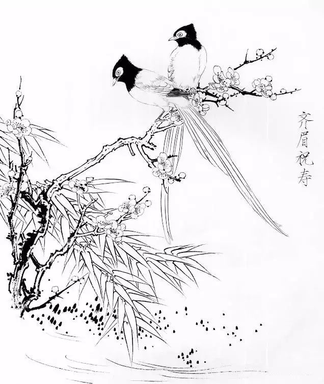 花卉禽鸟白描画稿欣赏