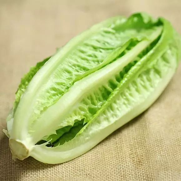 bibb lettuce 和波士顿生菜接近,但更小味道更好.一般一个小于250px.