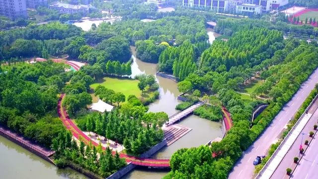 【城事】秋高气爽,到青浦这些美不胜收的公园走一走吧!图片