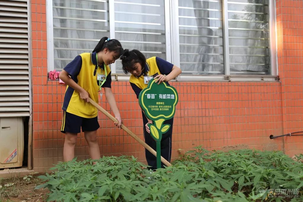 春苗"爱心菜园"计划再启动!仅有10所学校名额