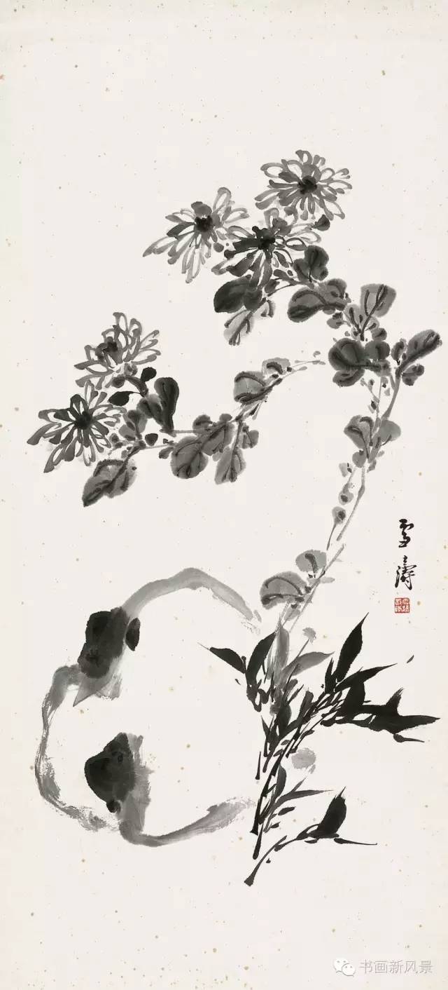 花鸟大师王雪涛画菊作品20幅!