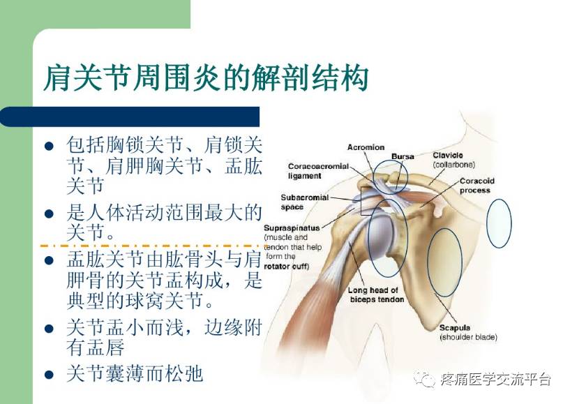 肩关节周围炎针灸治疗