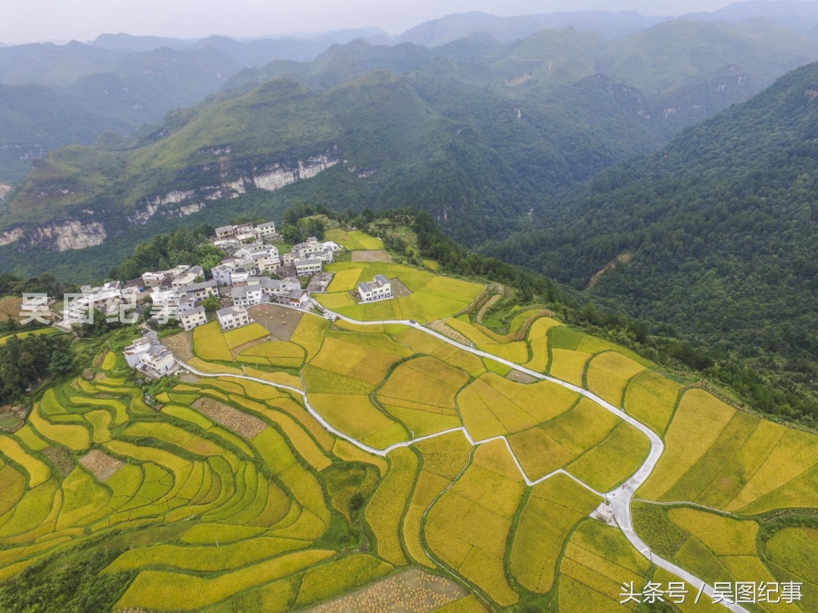 航拍贵阳市最壮观的万亩梯田,一片片金色好迷人你看见