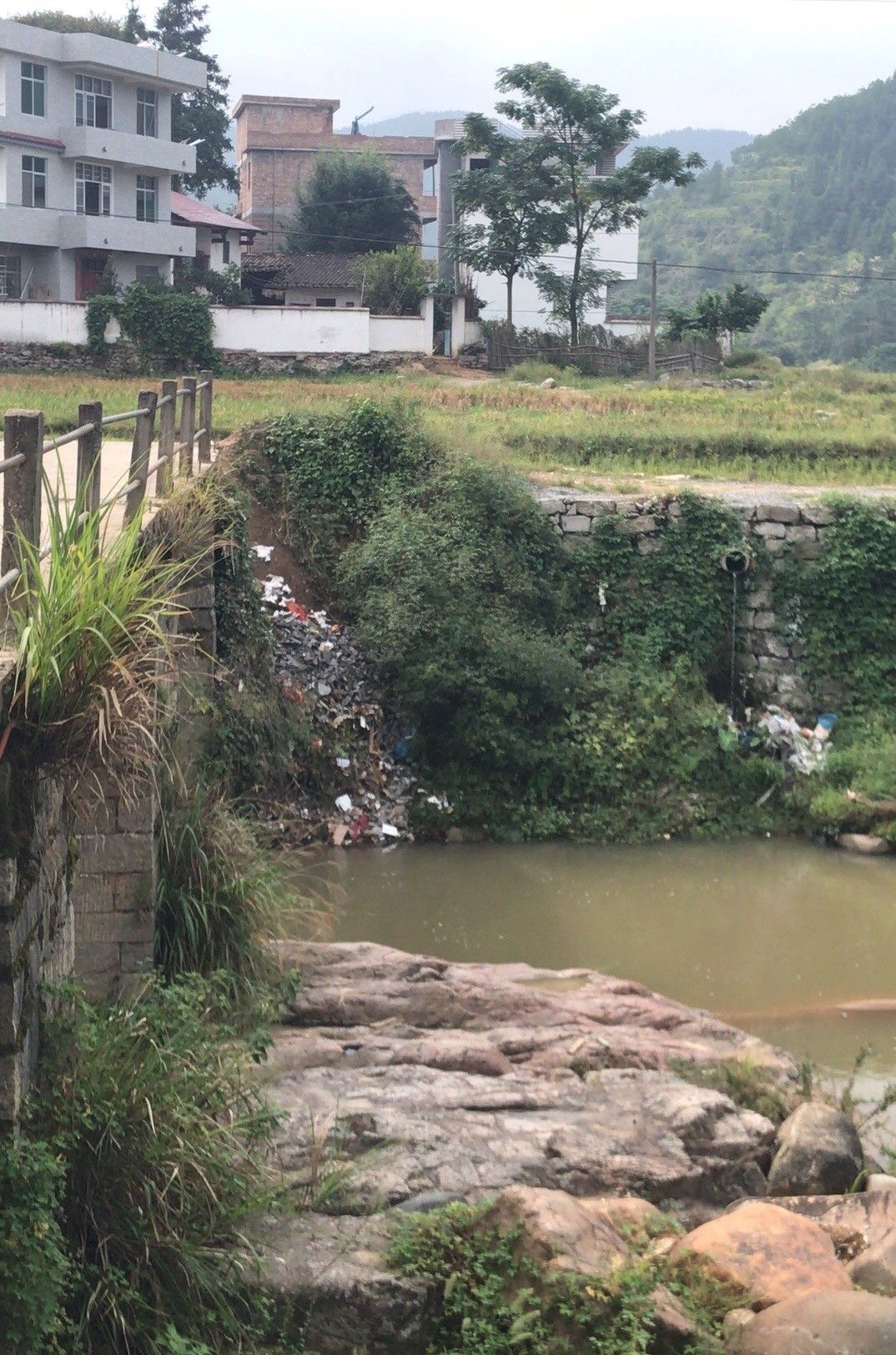 大汾镇大汾加油站下首长岗坪林业哨对面滁州村桥头上首(沿线没有垃圾