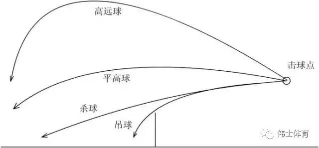 羽毛球的技巧:正手平高球!【伟士#羽课】