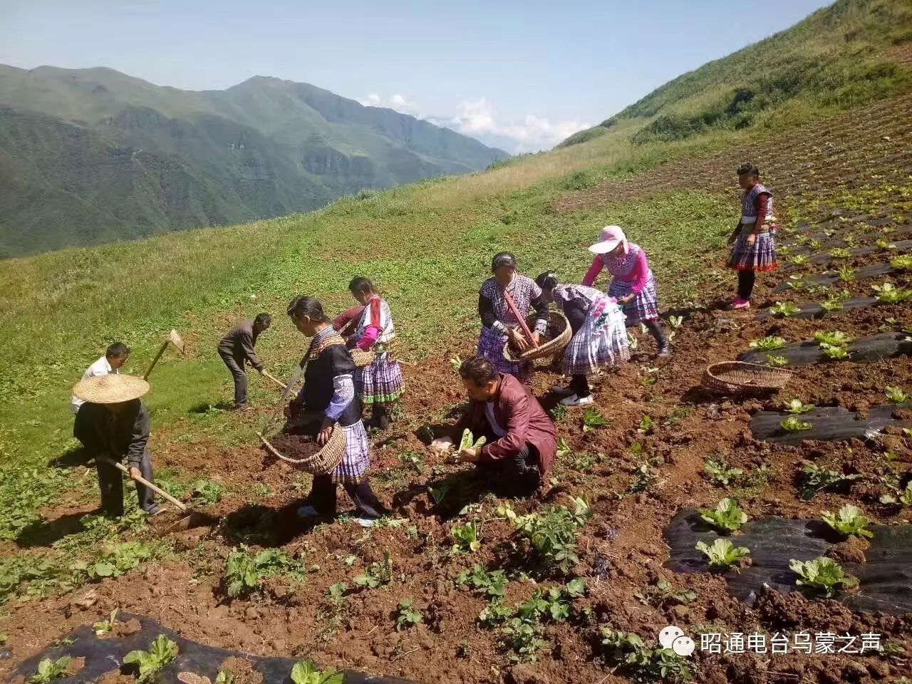 扶贫故事36走进永善县马楠乡马楠村