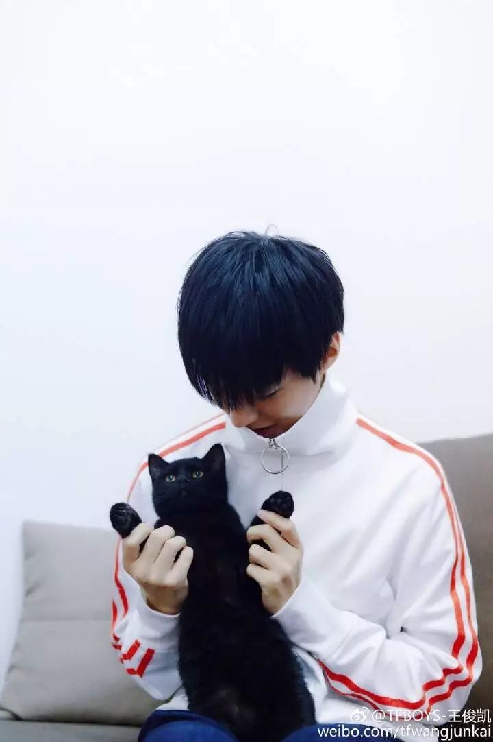 tfboys爱上撸猫,粉丝心碎一地,表示人不如猫!