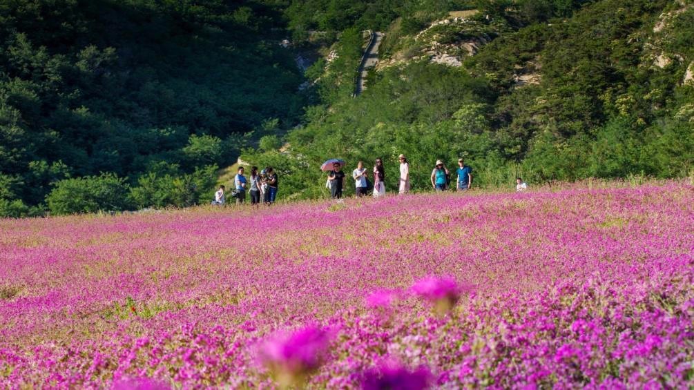 三合山  地点:平度