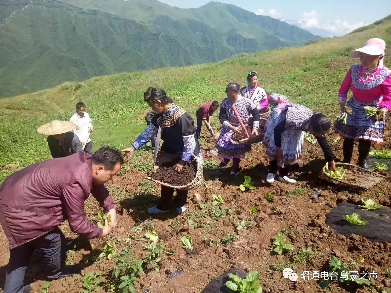 扶贫故事36走进永善县马楠乡马楠村