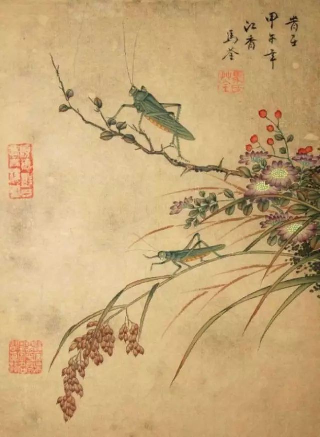 清代女画家|马荃工笔花鸟画大全