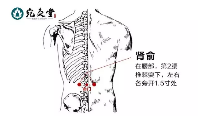 【秋分节气】艾灸使你润燥养肺壮脾胃