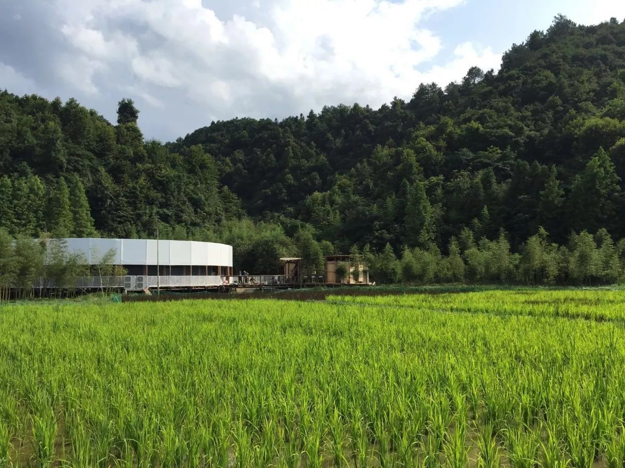 生态种植_太阳公社旅游发展有限公司