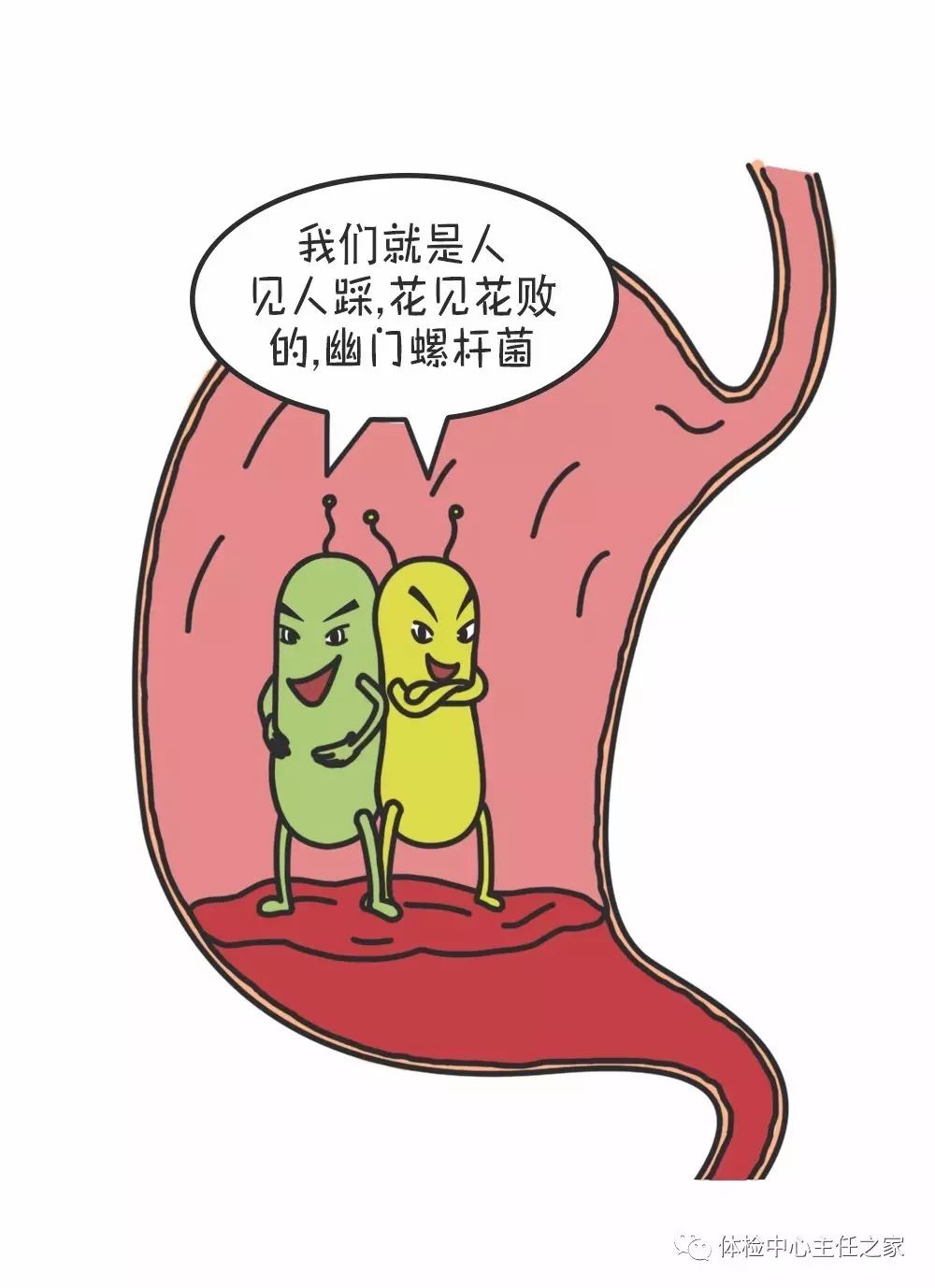 漫画胃病小能手幽门螺杆菌到底是怎样的存在