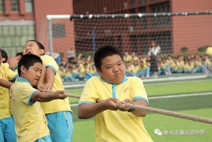 衡水志臻实验中学初一年级举行拔河比赛活动