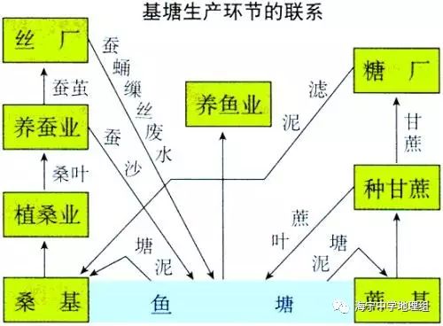 行走天下珠三角人民的智慧基塘农业