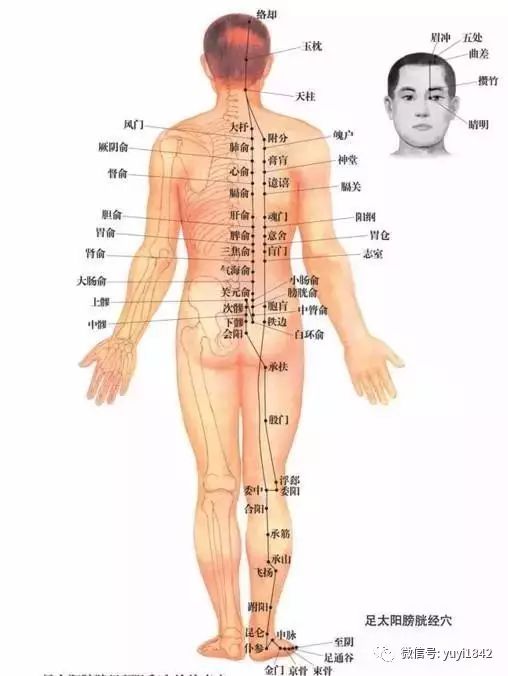 很多人都不知道,女人艾灸背部,远比艾灸腹部重要!