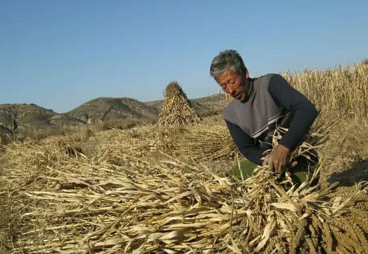 "吃苦"体验,深入贫困山区,体验艰苦生活,体验吃苦生活.