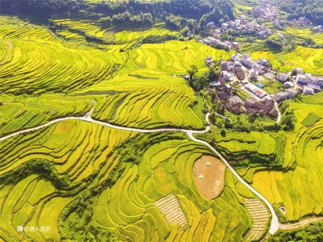 初秋的武平中堡悟地梯田@唐人 摄