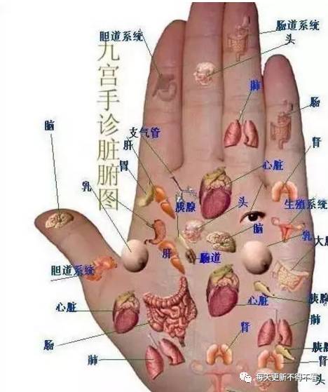 手热,手心汗——感冒,炎症,肝火旺. 手灰,手白点——肿瘤.