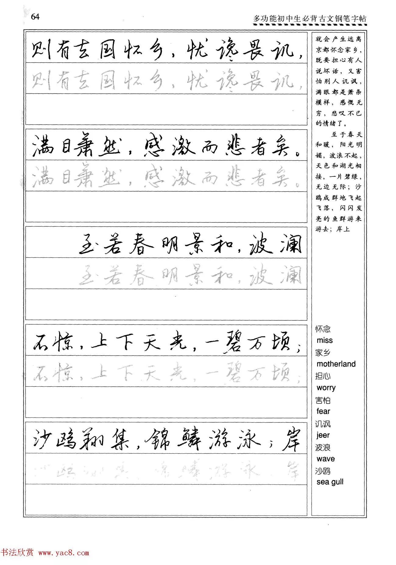 任平钢笔行书字帖《必背古文》