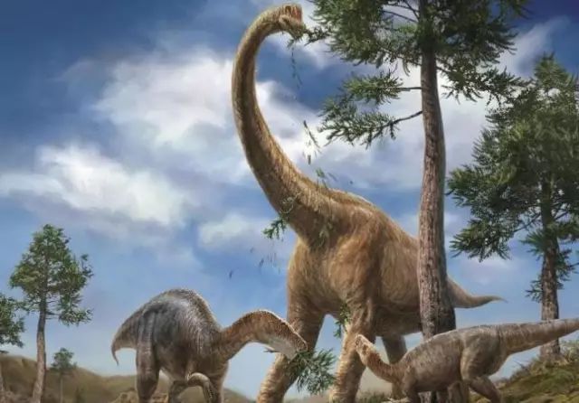 三角龙鸟臂目角龙小目角龙科的草食性恐龙一属,三角龙是最晚出现的
