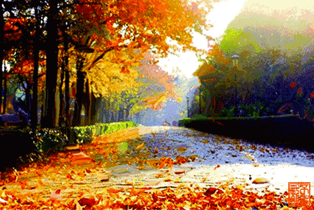 【诗城悦读】落叶是秋播撒的种子