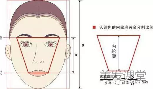 一张比例接近黄金分割比例的脸容易被大众接受,这是明星的基本条件