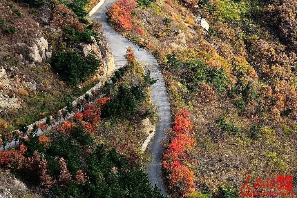 玉岱山(岱王山)