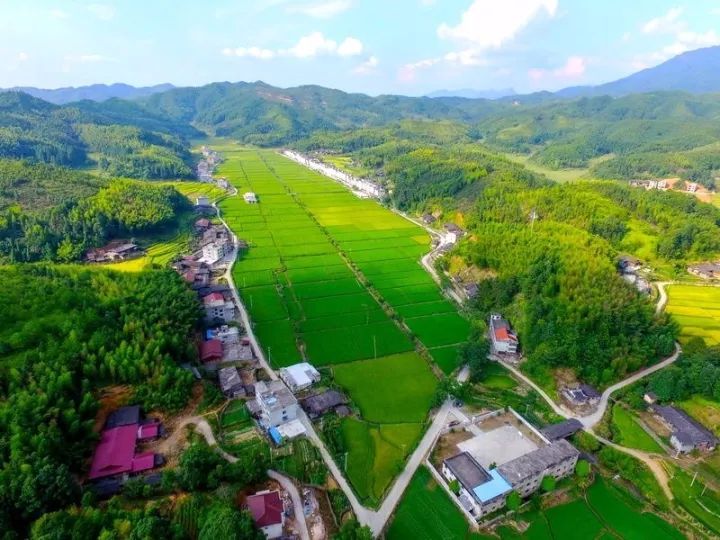 "凤元小学,当时,该学堂长期吸纳管前吾溪;玉漷乡山连,音头;沙县杜坑