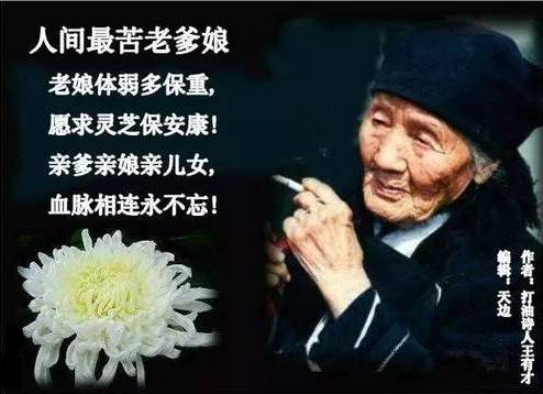 亲爹亲娘简谱_白发亲娘简谱歌谱