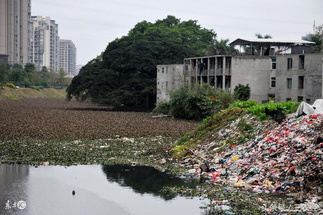 农村人进本市区算流动人口吗_农村人图片