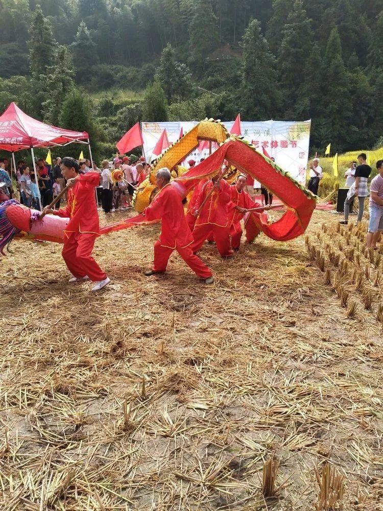 遂川禾源第二届"割禾"比赛,场面壮观!