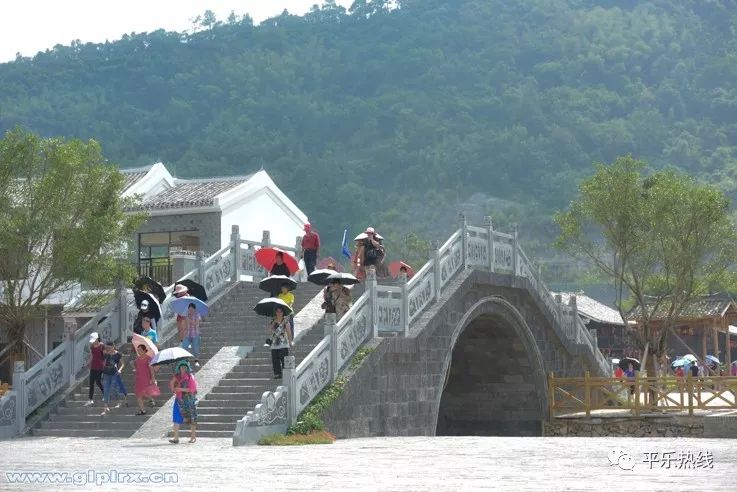 水寨张家林村人口_渠县县委书记张家林