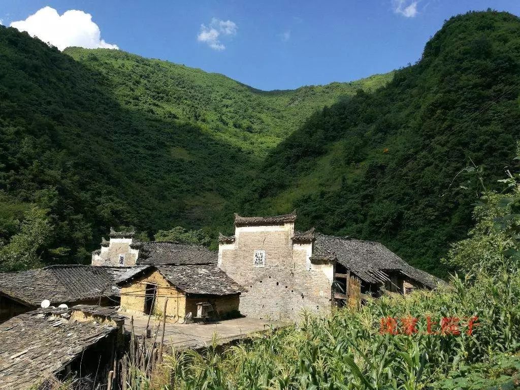 这个十一哪儿也不去,喊上朋友到紫阳来旅游!登茶山,品