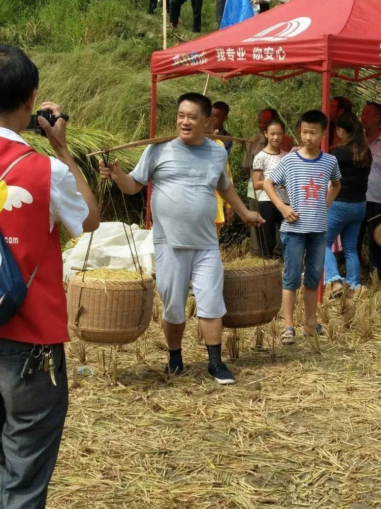 遂川禾源第二届"割禾"比赛,场面壮观 !