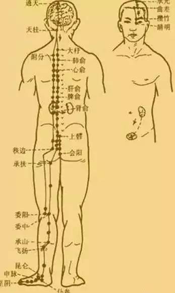 九什么三足的成语_三足鼎图片成语(3)